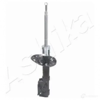 Амортизатор ASHIKA 1222297817 8052553191133 0A ZGV MA-40051 - Изображение 3