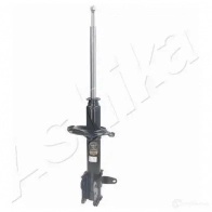 Амортизатор ASHIKA 8052553040639 2129241 K 9Q7A MA-33015 - Изображение 2