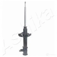 Амортизатор ASHIKA 8052553040639 2129241 K 9Q7A MA-33015 - Изображение 4