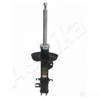 Амортизатор ASHIKA T8 FZMP 2128931 8052553123431 MA-00664 - Изображение 2