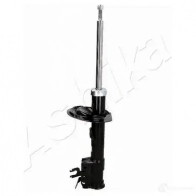 Амортизатор ASHIKA K9R DCT MA-00920 8052553213101 1222280931 - Изображение 3