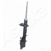 Амортизатор ASHIKA 2128857 8052553054711 DUH5 U6 MA-00582 - Изображение 3