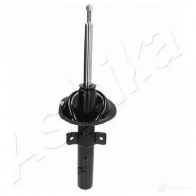 Амортизатор ASHIKA 2128571 BP OFOFJ 8052553026473 MA-00248 - Изображение 4