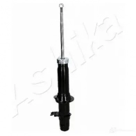 Амортизатор ASHIKA 8052553215174 CWK K4 1222297871 MA-40061 - Изображение 3