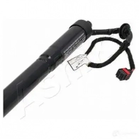 Амортизатор багажника ASHIKA JBCSJ 9 1437992648 ZA-0012 - Изображение 4