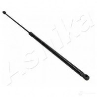 Амортизатор багажника ASHIKA ZSA40006 1437992483 1TRR2 G