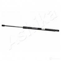 Амортизатор багажника ASHIKA 1437993497 ZSA02086 SLU QWHI
