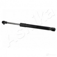 Амортизатор багажника ASHIKA ZSA10056 KEJ HPQZ 1437993058