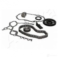 Комплект цепи ГРМ ASHIKA 6 M3HGKE 2127951 KCK212 8033001987621 - Изображение 4