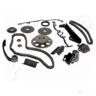 Комплект цепи ГРМ ASHIKA 2127903 8033001468946 KCK100 XMV OQ1 - Изображение 4