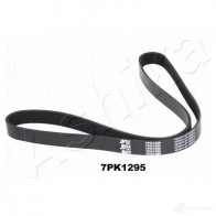 Приводной ремень поликлиновой ASHIKA Honda Civic 8 (FN, FK) Хэтчбек 2.0 Type R (FN2) 201 л.с. 2006 – 2025 8033001972016 112-7PK1295 Z 8XPS