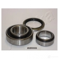 Подшипник ступицы колеса ASHIKA 691BG G 2113811 44-22000 8033001369373