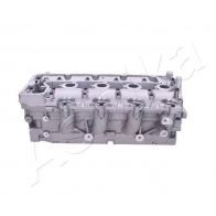 Головка блока цилиндров ASHIKA 1440613219 0RS MGUT FO12ES - Изображение 5