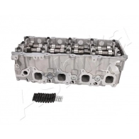 Головка блока цилиндров ASHIKA NS030S J BHAG 1440613318 - Изображение 5