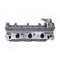 Головка блока цилиндров ASHIKA NVE 3F8J 1440613322 TY028S - Изображение 5