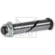 Палец ушка рессоры ST-TEMPLIN KU5F218 2568797 RQZY Z1E 18.020.0116.080
