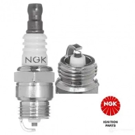 Свеча зажигания никелевая NGK 166909 BPM 6F 5950 IGPCY - Изображение 1