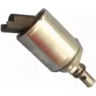 Клапан, система впрыска HOFFER 6O ITO2 8029124 2621996 C1WSF