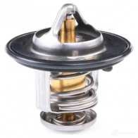 Термостат NIPPARTS S6KM FQ 8711768039288 J1534003 2034521 - Изображение 3