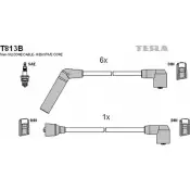 Высоковольтные провода зажигания TESLA T813B 2695902 HWU G3V W57BMVS