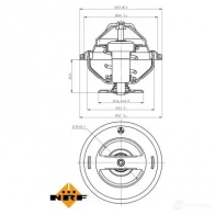 Радиатор охлаждения двигателя NRF 56085 8718042152398 QM 4SEA 1791530 - Изображение 2