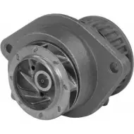 Водяной насос, помпа OPEN PARTS Volkswagen Polo (6N2) 3 Хэтчбек 1.0 50 л.с. 1999 – 2001 0W1F N WAP8264.00 9YEYSF2