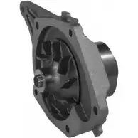 Водяной насос, помпа OPEN PARTS OXI2JZ NKP XBF Nissan March (K12) 3 Хэтчбек 1.5 dCi 65 л.с. WAP8356.00