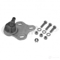 Шаровая опора OCAP 0495172 0 6R22H 8054682081781 Audi TT (8J) 2 2006 – 2014