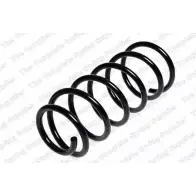 Пружина ROC 1 XIWAM CS0315 2826899 XEBY6