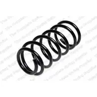 Пружина ROC M2I EKW CS0316 WQFDW 2826900