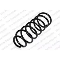 Пружина ROC G1SVXAE XE7 OVQ CS0484 2826976