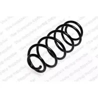 Пружина ROC 2827269 6ZT RA OMF2K4H CS1546