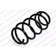 Пружина ROC EV3GD C 7MB4D0H CS2091 2827338