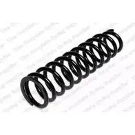 Пружина ROC CS3091 XK0PP 7 PS32Q1 2827481