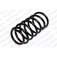 Пружина ROC P TF9K 2827648 2U45WAL CS3281