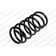 Пружина ROC 2827649 CS3282 3QY O8 IHOCAZE