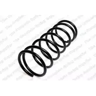 Пружина ROC Z BN4Q 2827996 CS3645 U4KH8GE