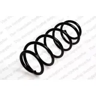 Пружина ROC CS3649 2828000 OL70G F 42DI1