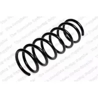 Пружина ROC CS3787 2828136 935 6W25 P2HM88G