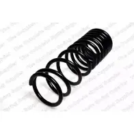 Пружина ROC 2828150 CS3801 ZDRVVW OYQ USL