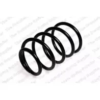 Пружина ROC 19 GJE0 2828219 OUAXRCR CS3872