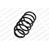 Пружина ROC 2829235 0NCEIR N TIIKC CS4914