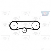 Ремень ГРМ OPTIBELT KT 1246 zrk1331 HR 97087 x 24 mm 788729 - Изображение 3