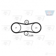 Комплект ремня ГРМ OPTIBELT kt1302 787911 HR 97081 x 21 mm ZRK1238 - Изображение 2