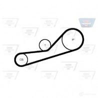 Комплект ремня ГРМ OPTIBELT kt1006 787592 320ST 304UT - Изображение 4