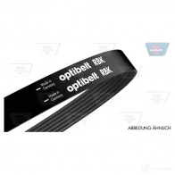 Приводной ремень, поликлиновой OPTIBELT 786813 6 PK 1848 6 PK 1849 6pk1850