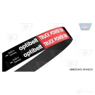 Приводной ремень, поликлиновой OPTIBELT 8 PK 1254 8pk1255tm 787118 8 PK 1253