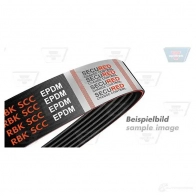 Приводной ремень, поликлиновой OPTIBELT 8pk1255scc Q7NV B 1210274459 4014486977394