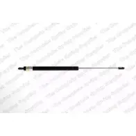 Амортизатор капота ROC D KKEH02 GS0113 O0TBT 2831244