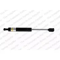 Амортизатор багажника, упор задней двери ROC FRSKREL GS0489 T23 T2 2831599
